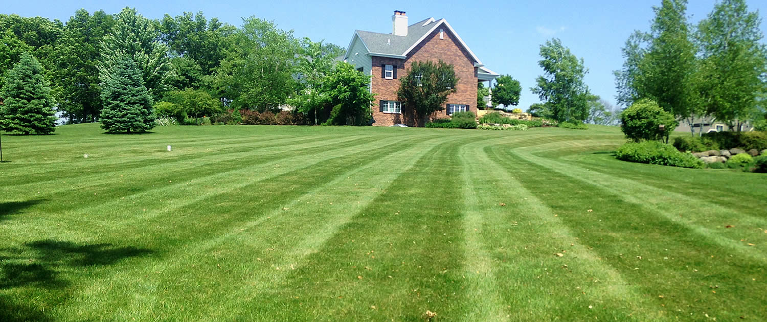 Residential Lawn care150 madison residential lawn care